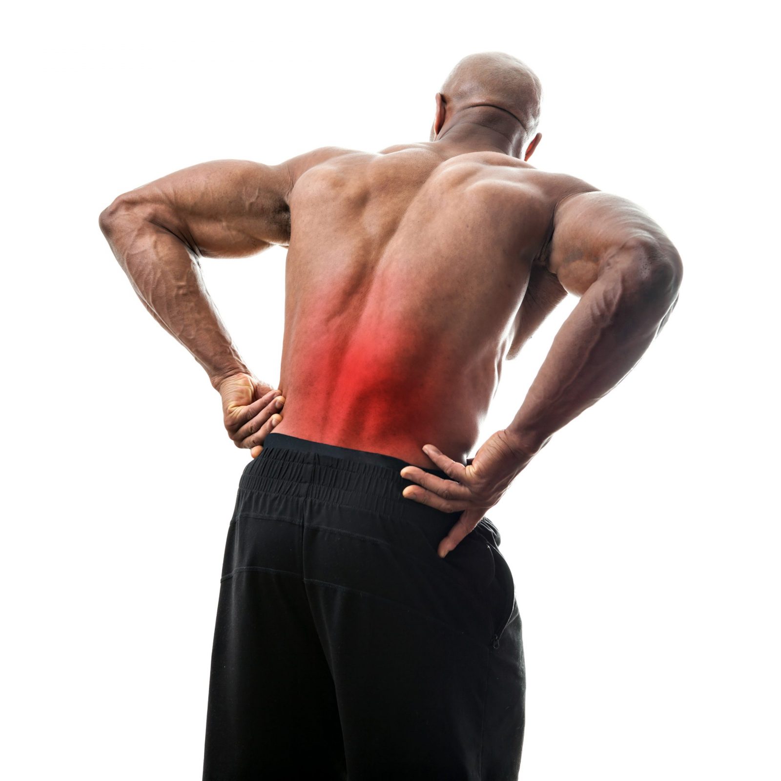 Muscular Low Back Pain, Sydney Physiotherapist