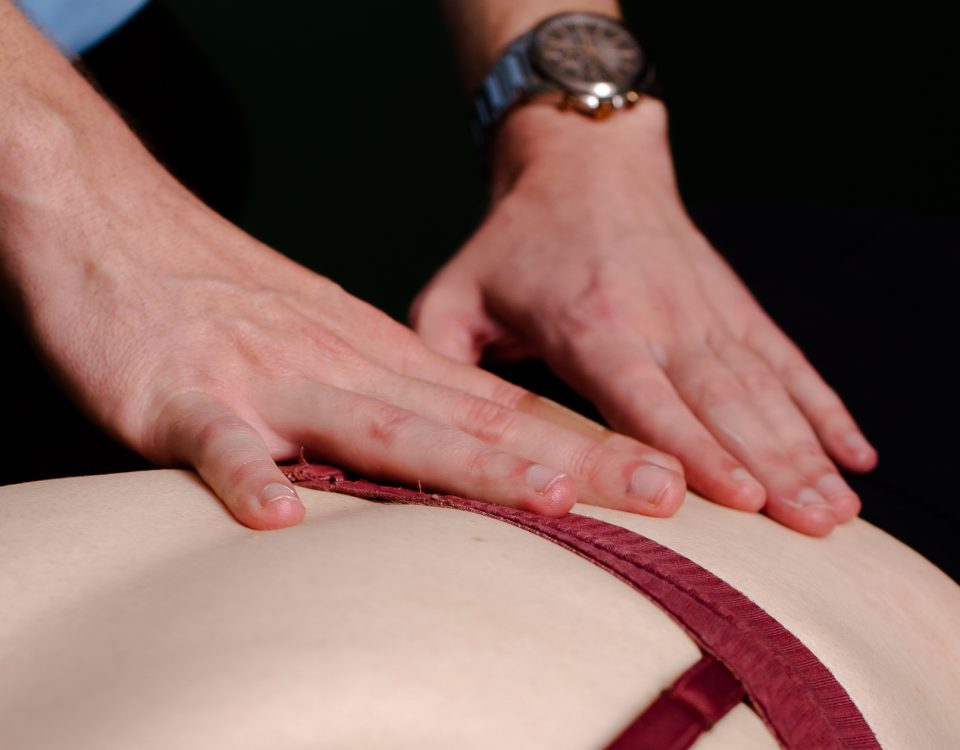 Back pain physio